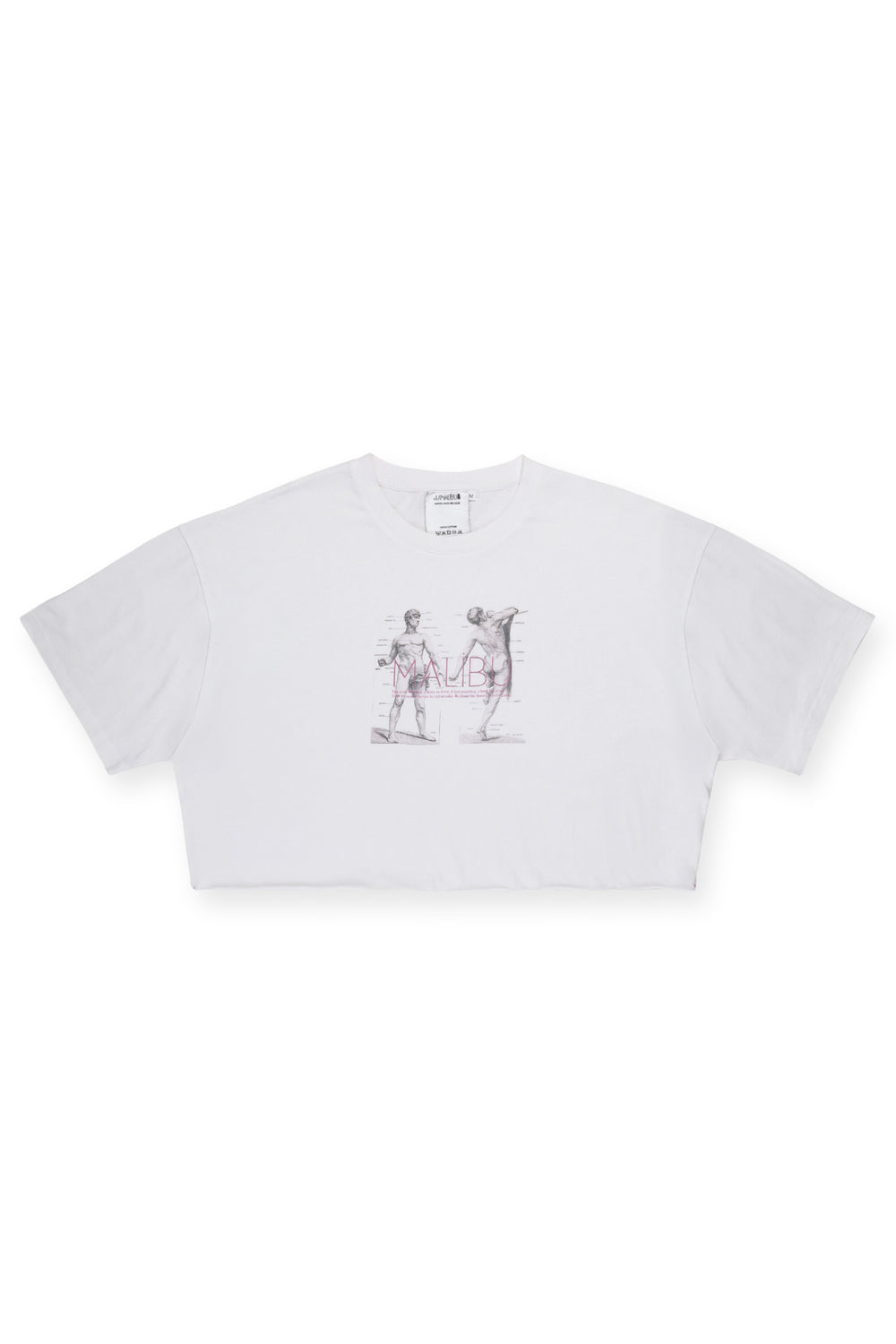 Vintage-Washed Drop-Shoulder Crop Tee - Anatomy