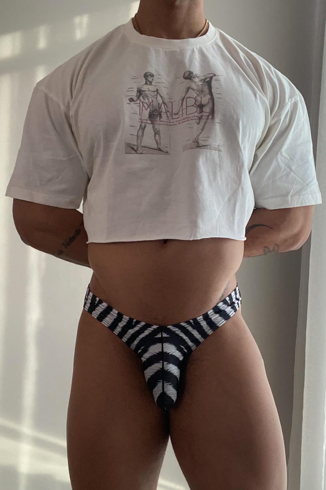 Men's Slimmer Bulge Briefs - Zebra Print